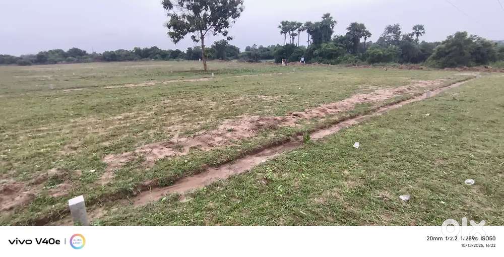 Rajahmundry Gadala లో. Open plots for sales. 7000 ఒక గజం రేటు