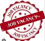 sales executive