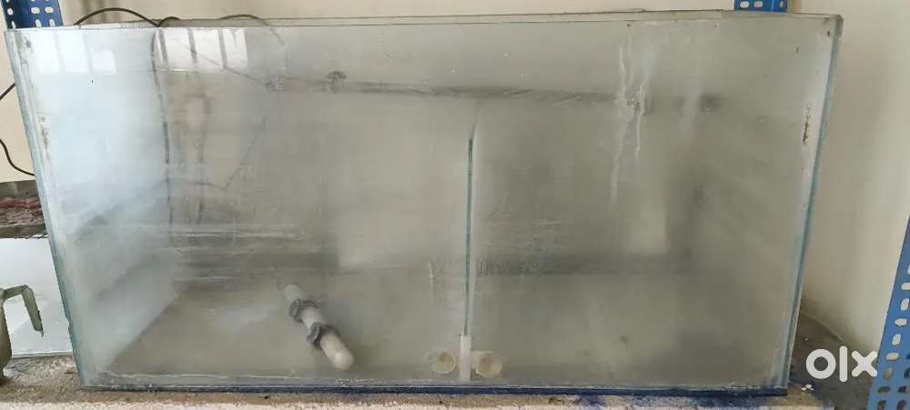 2 1/2 feet used fish tank with partion glass