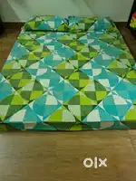 Used Orthopedic Mattress with 2 Pillows.
