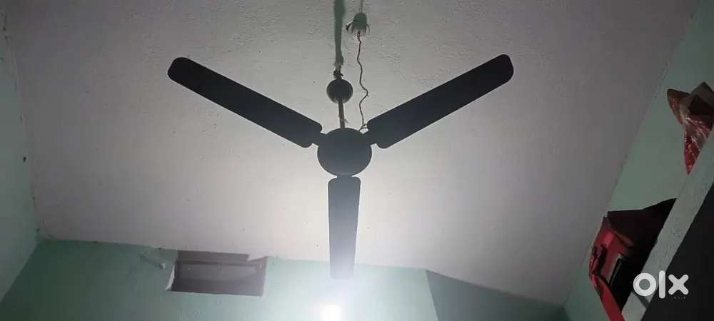 फ्लाइट में एक रूम खाली है ओनली फैमिली वाले के लि