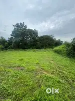 14 cent land for sale at poonjar thekkekkara