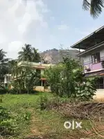 Residential Plot  Sale in Vaniyamkulam Residential Plot Sale Palakkad