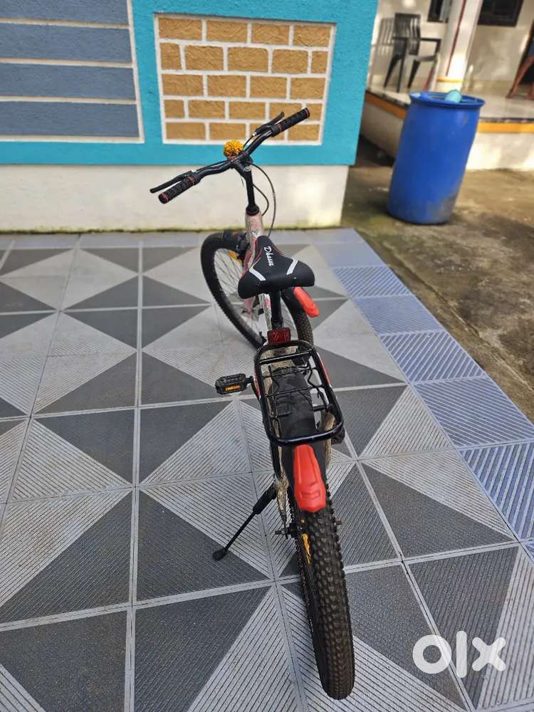 Dhannu bicycle