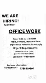 OFFICE EXECUTIVE