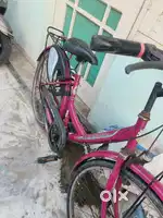 Ladybird cycle bsa