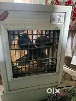 Cooler for sale