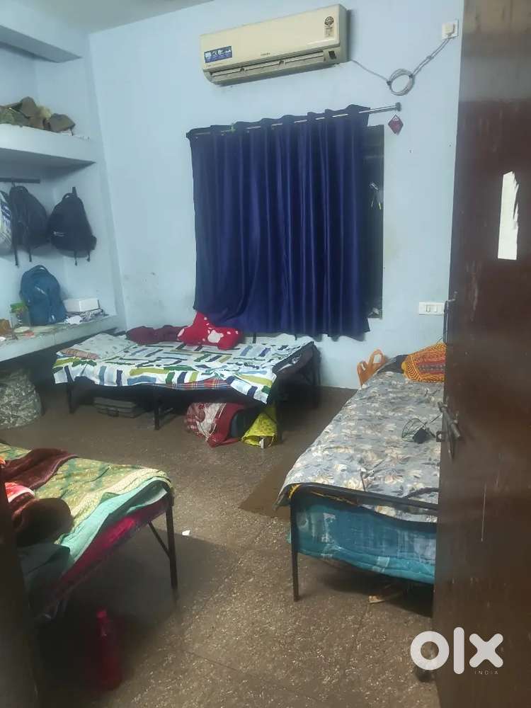 One genuine roommate needed