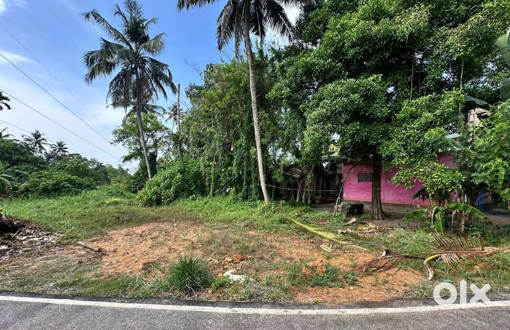 TAR FRONTAGE LAND FOR SALE IN PATHIRAPPALLY