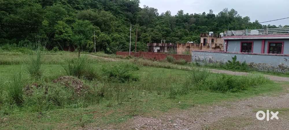 House and plots available sidhra and bajlata