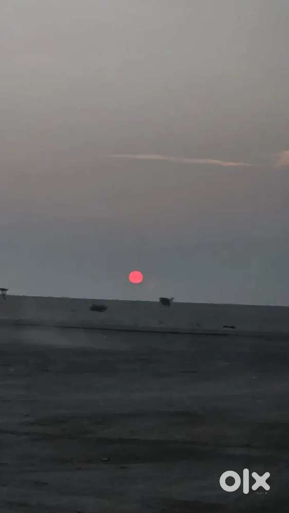 Lady staf for billing