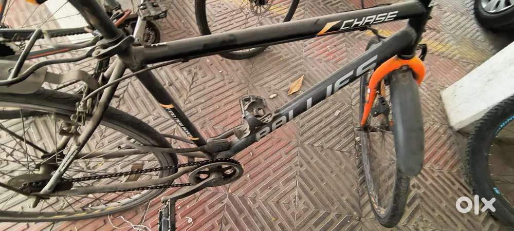 Firefox road runner Pro D and Ralies chase two bicycle