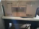 Insect killer for home