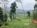 INVESTMENT-FRIENDLY LAND FOR SALE IN WAYANAD