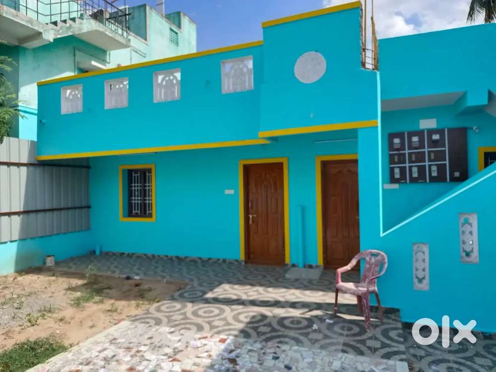 Pets friendly house maid