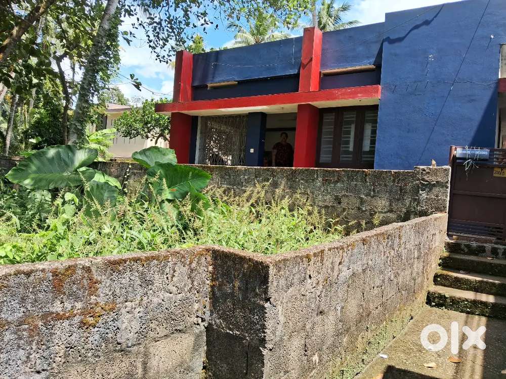 Rent for independent house at pappanamcode thiruvanathapuram  695019