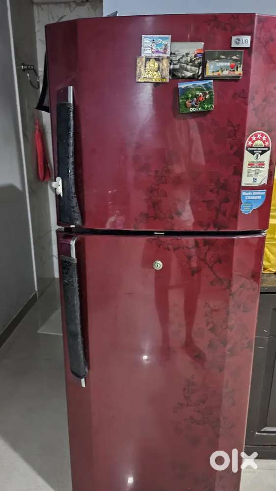 REFRIGERATOR