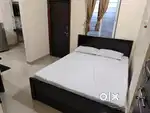 Couple PG in Hinjewadi  Nature View and Birds Chirping