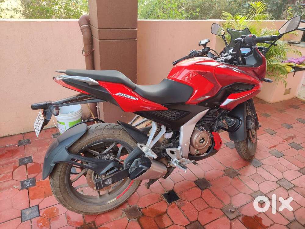 Pulsar F250 - 2022
