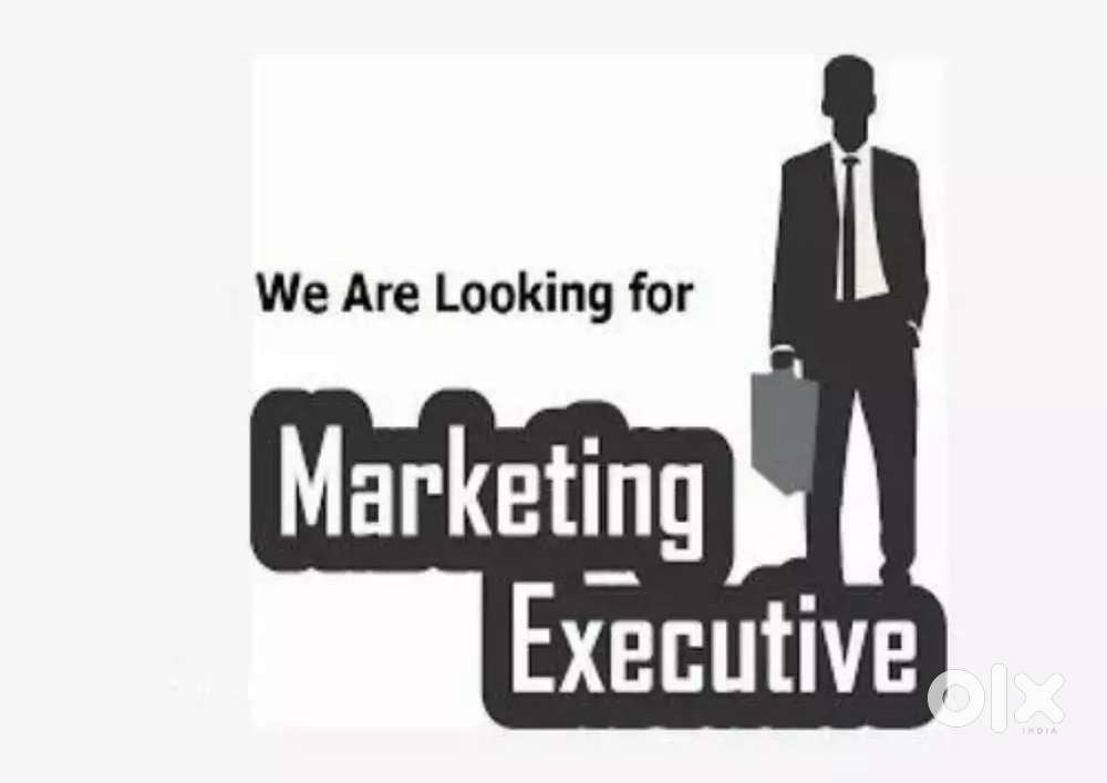 MARKETING EXECUTIVE REQUIRED WITH COMPUTER KNOWLEDGE