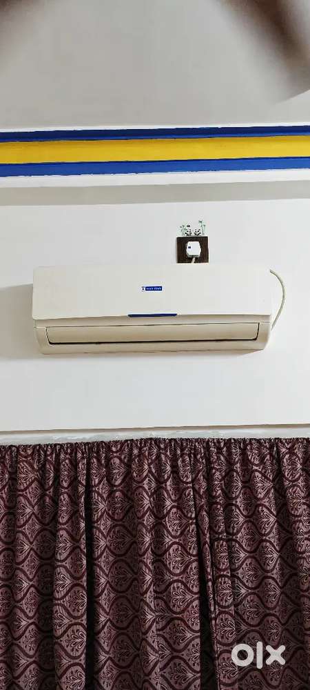 Blue Star 1 ton 3 star