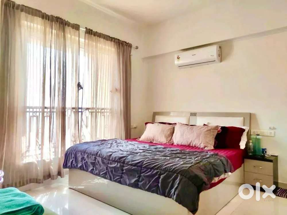 1 BHK apartment full furniture I am owner