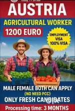 Immigration jobs