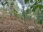 19.5 cent plot for sale