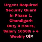 Company 8 hours Security Guard Job Chandigarh