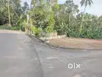 Land 14 cent at Ammancherry-University main road side  4.25 lakh/cent