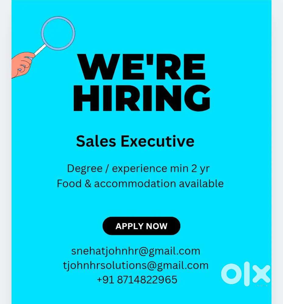 Sales Executive