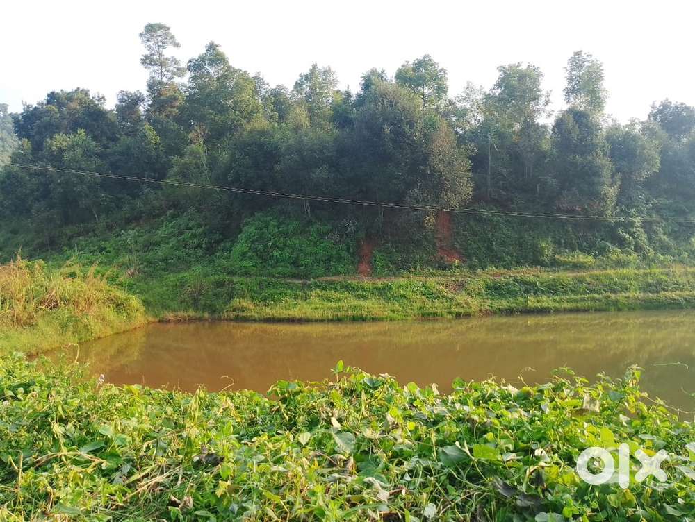 Land for sale 55Lack