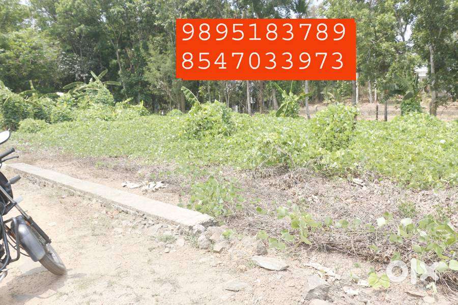 House plot 10 cents at Athirampuzha 2.40 lakh/cent