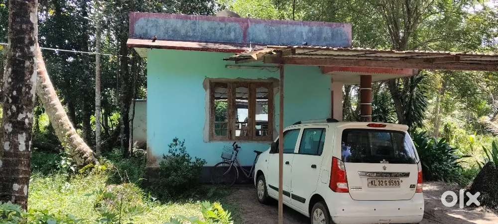 ചേർത്തല കുറുപ്പംകുളങ്ങര 19cent വീടും40 ലക്ഷം രൂപ ചോദ്യം