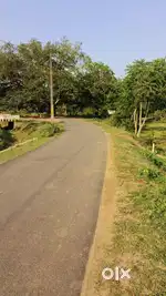 Black Top Roadside Plot for Sale – Near Venkateswar School, Jajpur