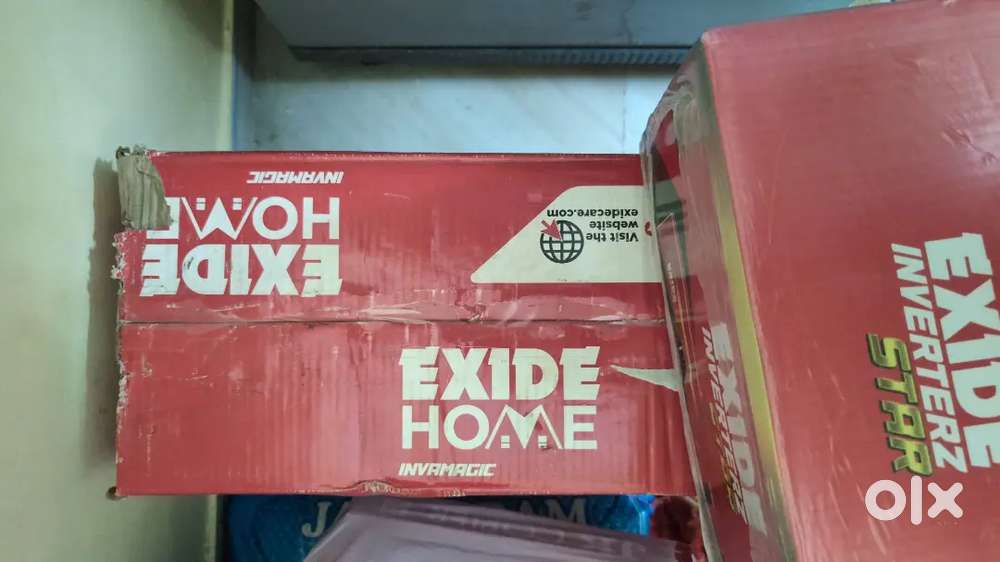 Exide inverter