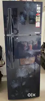 LG 310L 4-star Double Door Fridge