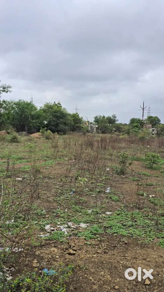 2acer yellow belt fram land for sale