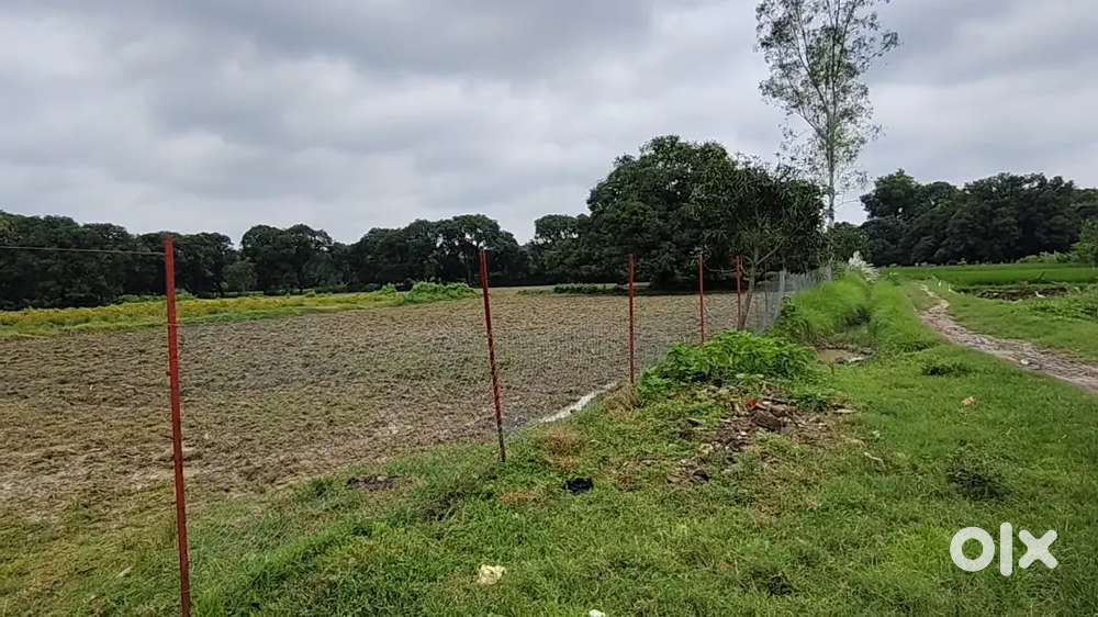 बागवानी और खेती के लिए आदर्श भूमि अच्छे लोकेशन पर बिकाऊ हैं