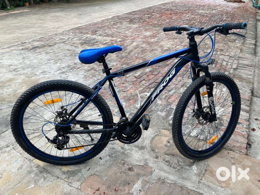 Mountain bike, Frog Viper X-101