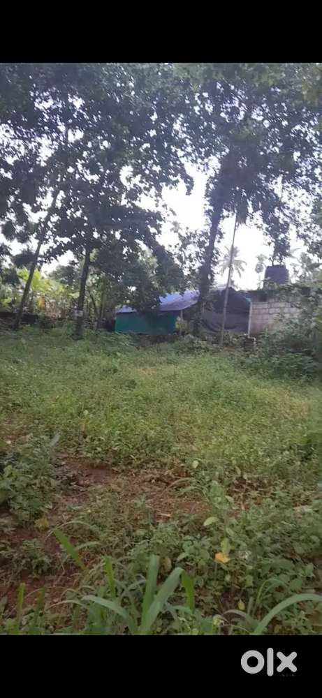 Land/Plot for sale