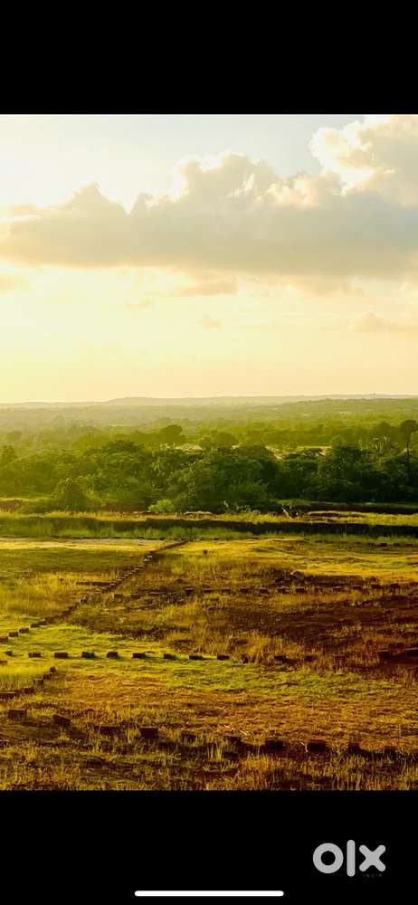 NA Plots in Ratnagiri