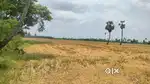 3 acres land for sale