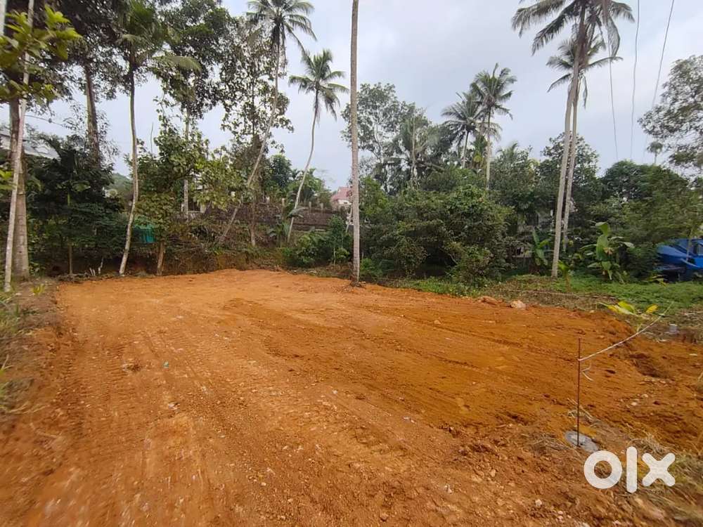 10m from main road, koothattukulam elanji route, price is negotiable