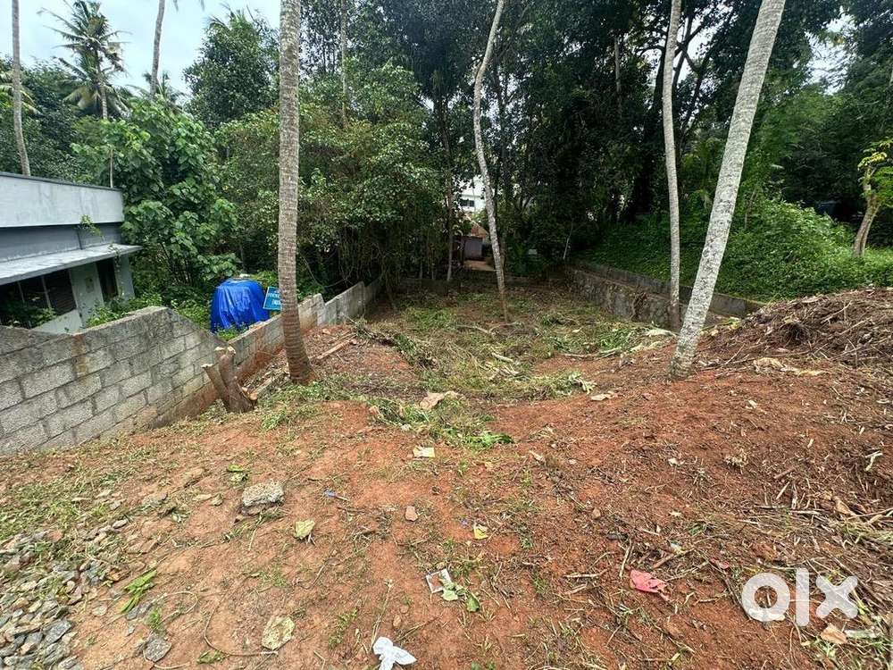 Poonkulam vandithadam,THIRUVALLAM