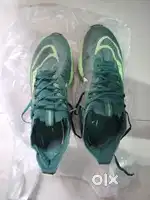 Zoom X Shoes Alphafly green colour