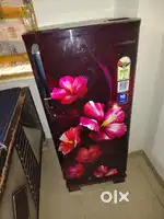 Singal door firge