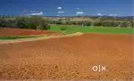 Looking for agricultural land for lease