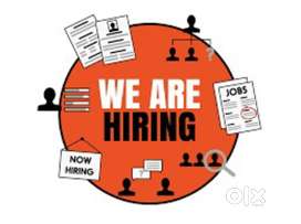 Urgent need 1 male experience tally operator cum computer operator