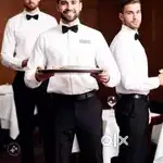 Urgent Required :- Waiter Steward Captain Manager Senior Waiter